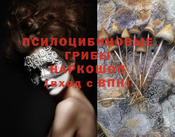 марки nbome Богданович