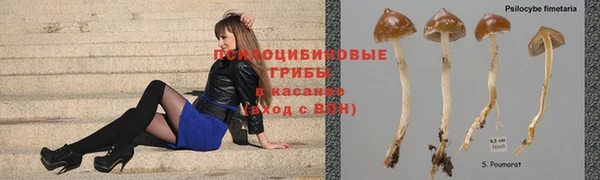 каннабис Богородск