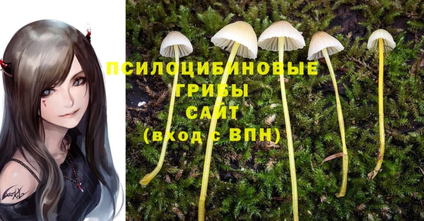 ПСИЛОЦИБИНОВЫЕ ГРИБЫ Богородицк
