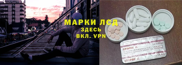 ПСИЛОЦИБИНОВЫЕ ГРИБЫ Богородицк