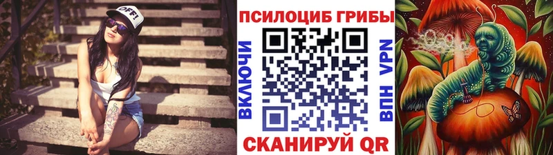 Псилоцибиновые грибы MAGIC MUSHROOMS  где купить наркотик  Кстово 